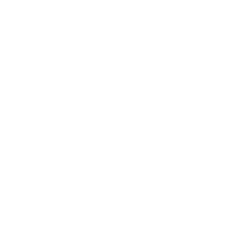 Magic Raja